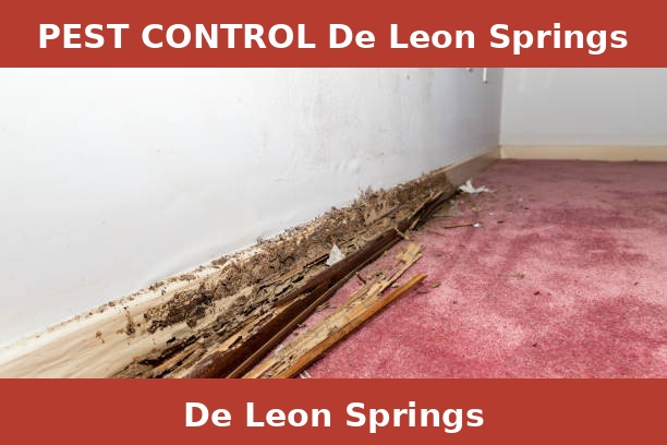 PEST CONTROL De Leon Springs